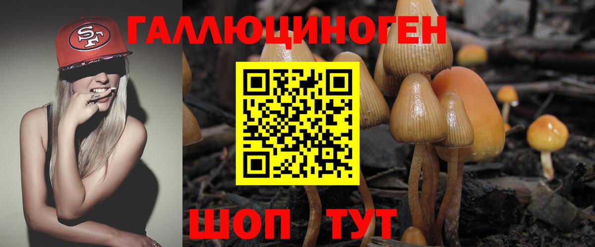 Галлюциногенные грибы Cubensis Ангарск